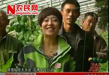 《博士在行动》——熊蜂授粉技术指导