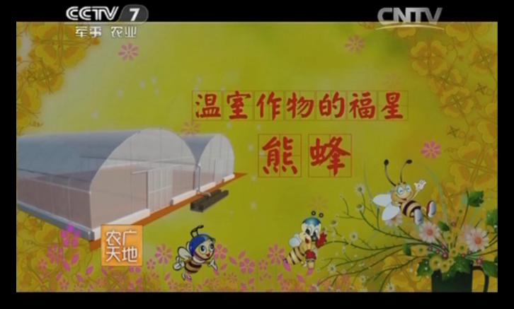《农广天地》温室作物的福星—熊蜂